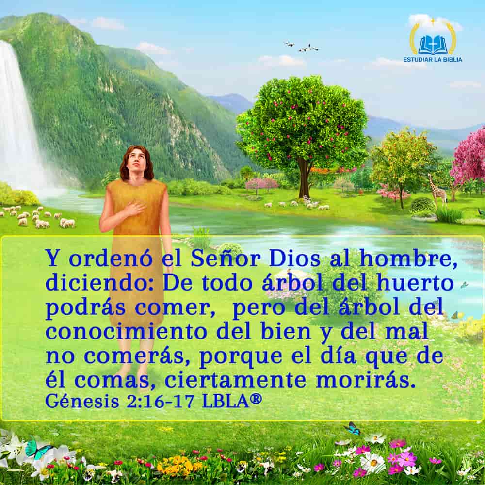 Evangelio De Hoy Genesis 2 16 17