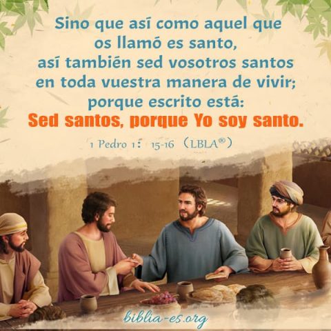 Estudiar la Biblia Evangelio de Hoy