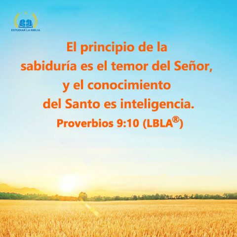 Evangelio de hoy,versiculo biblico proverbios 9,versiculos de la Biblia