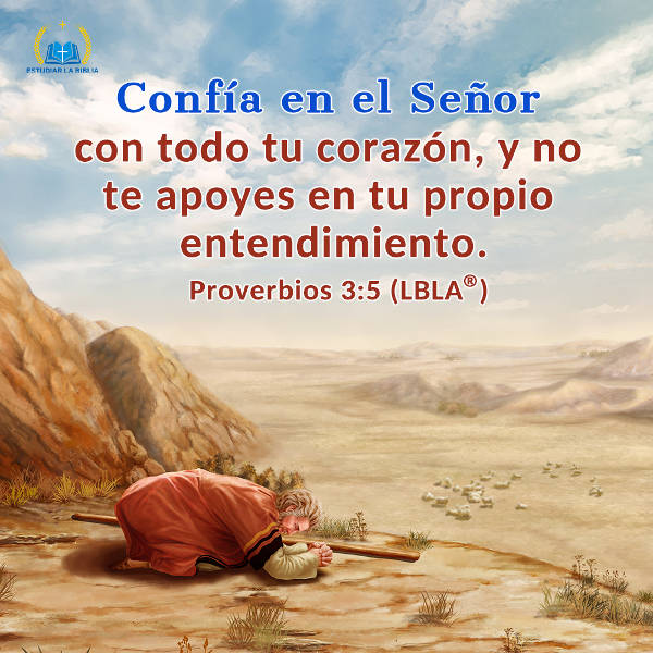 Evangelio de hoy,evangelio del dia,Biblia,Versiculos Biblicos,Proverbios