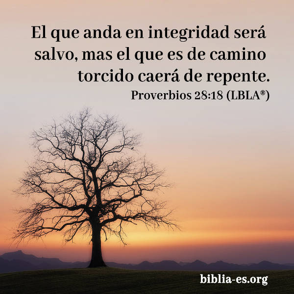 Evangelio de hoy,versiculo biblico proverbios 28-18