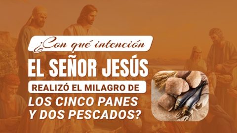 ¿Con qué intención el Señor Jesús realizó el milagro de los cinco panes y dos pescados?