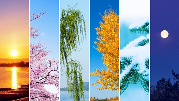 En el cuarto día, nacen las estaciones, los días, y los años de la humanidad, al ejercer Dios una vez más Su autoridad