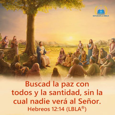Evangelio de hoy,evangelio del dia,versiculos de la Biblia,imagenes biblicas