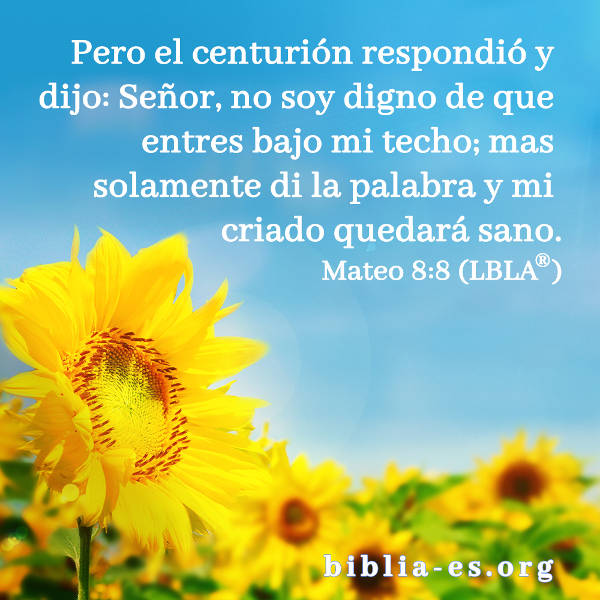 Mateo,evangelio de hoy,evangelio del dia,versiculos de la Biblia