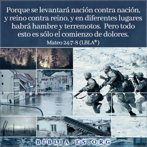 Mateo,evangelio de hoy,evangelio del dia,versiculos de la Biblia