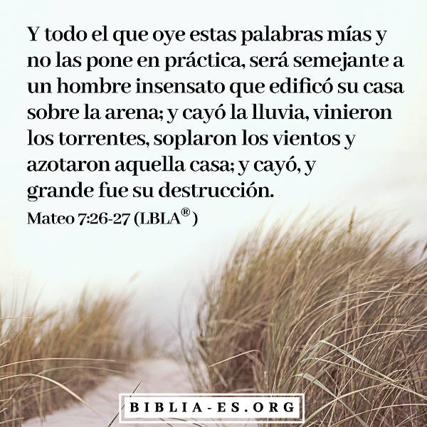 Mateo,vesiculos de la Biblia,evangelio de hoy,evangelio del dia