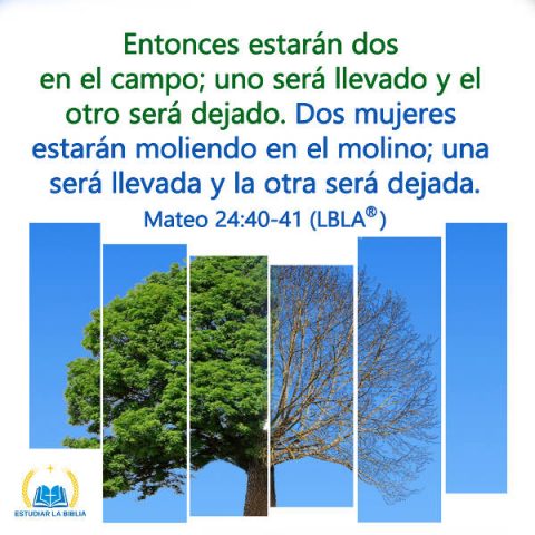 Mateos,evangelio de hoy,evangelio del dia,versiculos de la Biblia