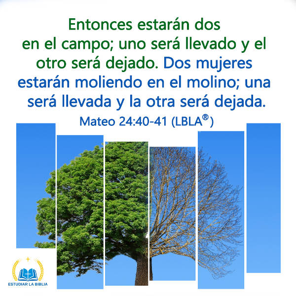 Versículo de Hoy - Explicación de Mateo 24:40-41