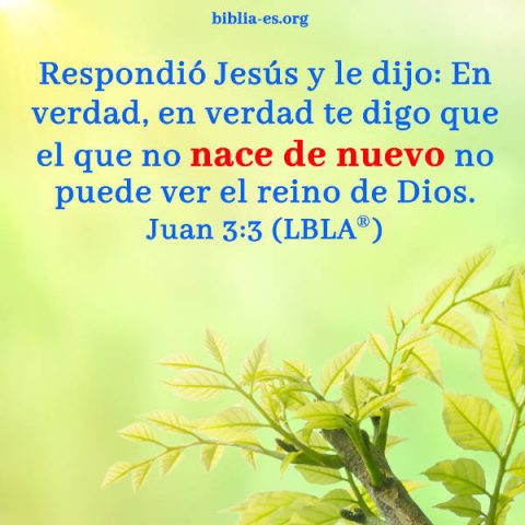 Juan,Evangelio de hoy,Evangelio del dia,versiculos de la Biblia