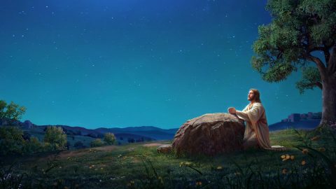 La esencia de Cristo es la sumisión a la voluntad del Padre celestial