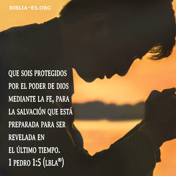 Pedro,evangelio de hoy,imagenes biblicas,versiculos de la biblia 