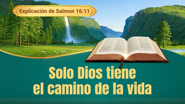 Versículo de Hoy - Reflexión de Salmos 16:11