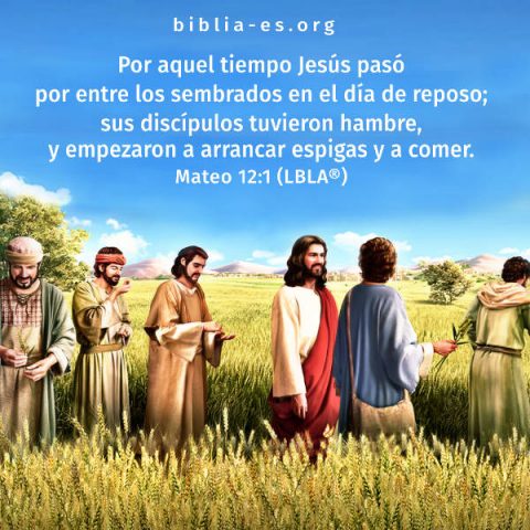 Devocional diario cristiano - Mateo 12:1