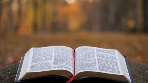 Una Biblia abierta