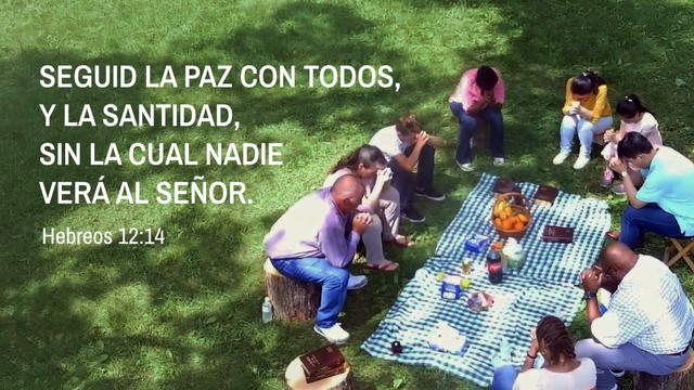 Hebreos 12:14
