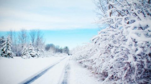 Escena de nieve