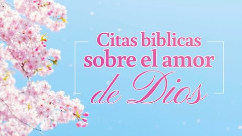 Citas biblicas sobre el amor de Dios