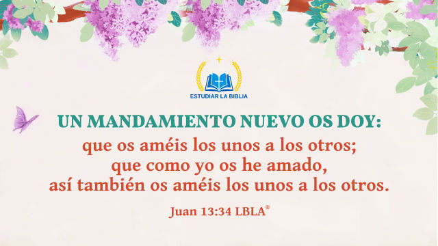 juan13:34