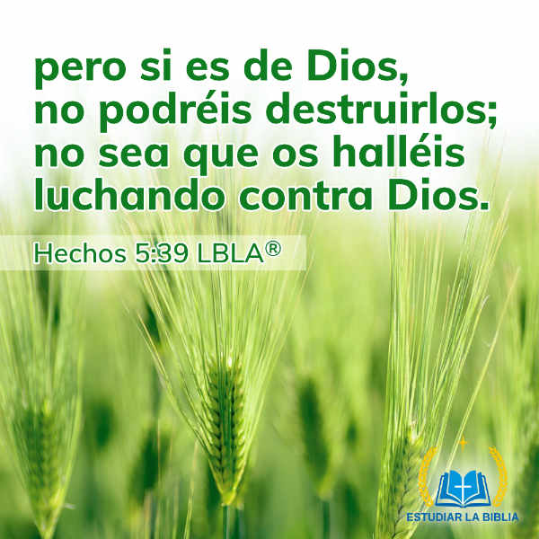 Hechos 5:39