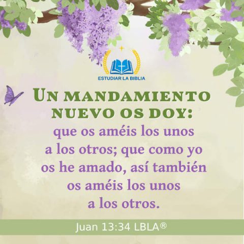 Juan 13:34