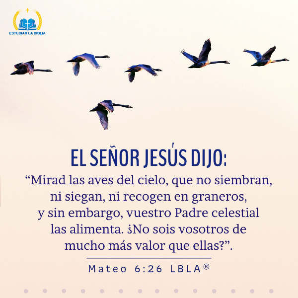 Versículo de la Biblia - 1 Pedro 1:5 | Estudiar la Biblia