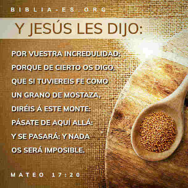 Vers culo De La Biblia Mateo 17 20 vers-culo-de-la-biblia-mateo-17-20