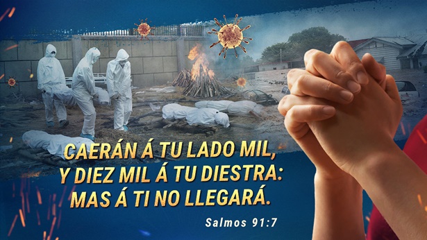 Explicación del Salmo 91:7: Dios es nuestra única salvación cuando vienen los desastres