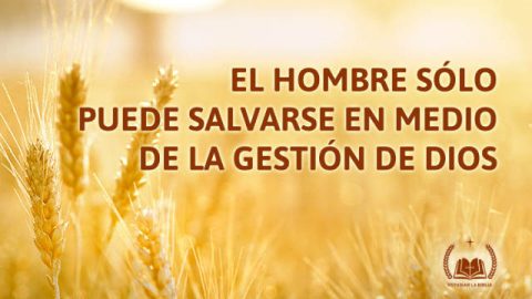 El hombre sólo puede salvarse en medio de la gestión de Dios