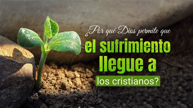 ¿Por qué Dios permite que el sufrimiento llegue a los cristianos?