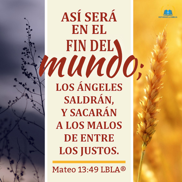 Evangelio de Hoy - Mateo 13:49