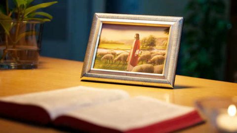 El Señor Jesús mismo profetizó que Dios se encarnaría en los últimos días y aparecería como el Hijo del Hombre para llevar a cabo Su obra