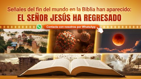 5 señales antes del fin del mundo según la Biblia han aparecido