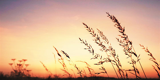 La Palabra del Espíritu - Cuando veas el cuerpo espiritual de Jesús será cuando Dios haya hecho de nuevo el cielo y la tierra