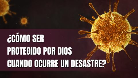 ¿Cómo recibir la protección de Dios en medio de desastres?