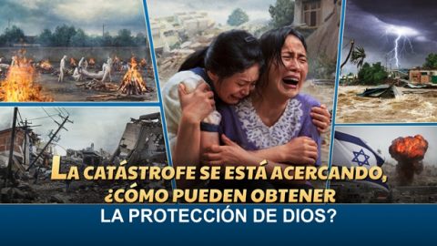 ¿Cómo obtener la protección de Dios cuando ocurra un desastre?