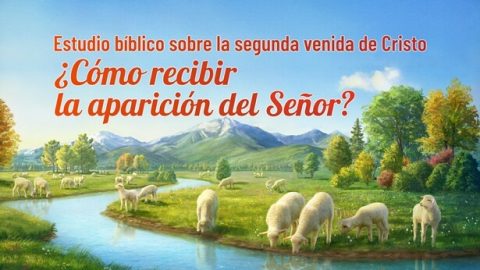 Estudio bíblico sobre la segunda venida de Cristo - ¿Cómo recibir la aparición del Señor?