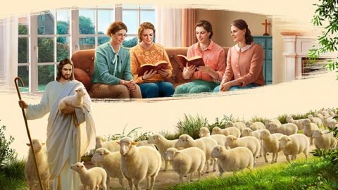 Juan 10:27, el Señor Jesús dijo: "Mis ovejas oyen mi voz", ¿eres capaz de oír la voz de Dios?