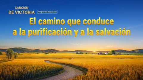 El camino que conduce a la purificación y a la salvación