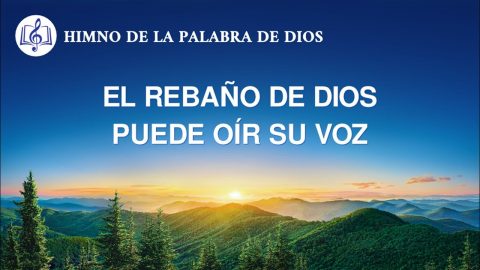 Canción cristiana | El rebaño de Dios puede oír Su voz