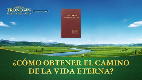 Película cristiana | ¿Cómo obtener “el camino de la vida eterna”? (Fragmento destacado)