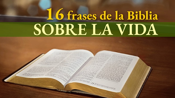16 frases de la Biblia sobre la vida - El valor y sentido de perseguir la vida