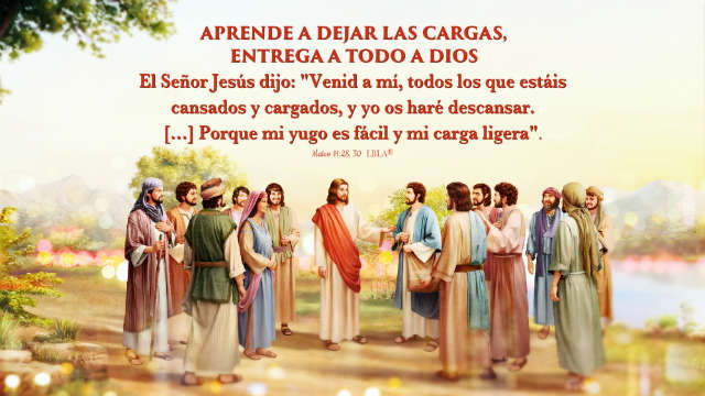 mateo 11 28 30 biblia catolica reflexion