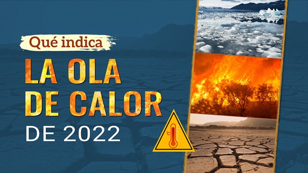 Qué indica la ola de calor de 2022