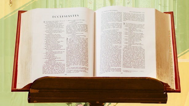 11 versículos bíblicos sobre las palabras de Dios