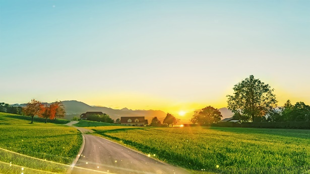 Testimonio de una católica: Mis remedios para deshacerme del pecado