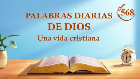 Palabras diarias de Dios: La entrada en la vida | Fragmento 568