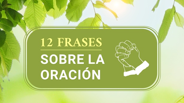 12 frases sobre la oración