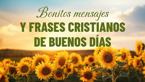 Bonitos mensajes y frases cristianos de buenos días